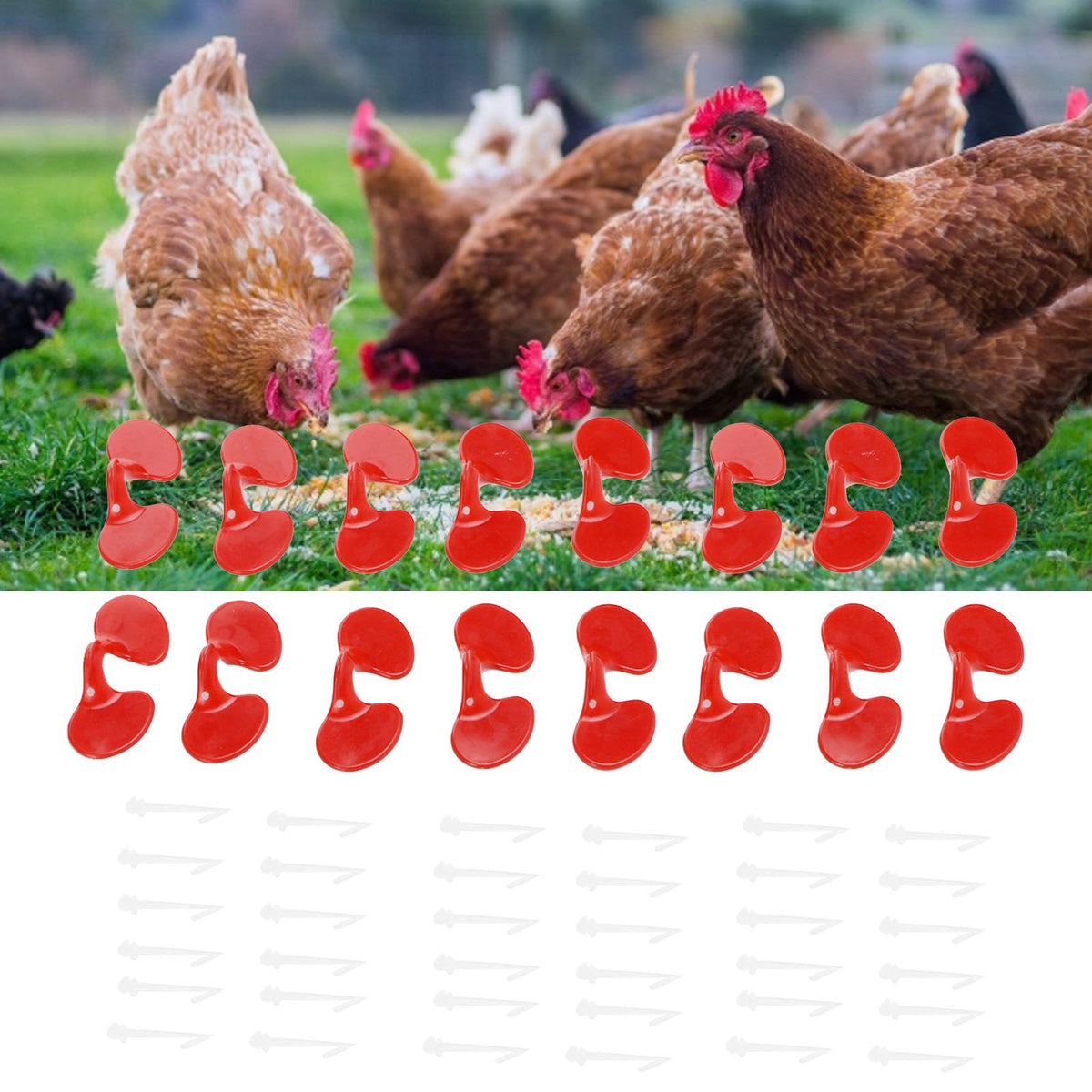 1000Set 6cm Chicken Blinders with Holes Plastic Anti Pecking Chicken Eye Glasses Goggles Accessory