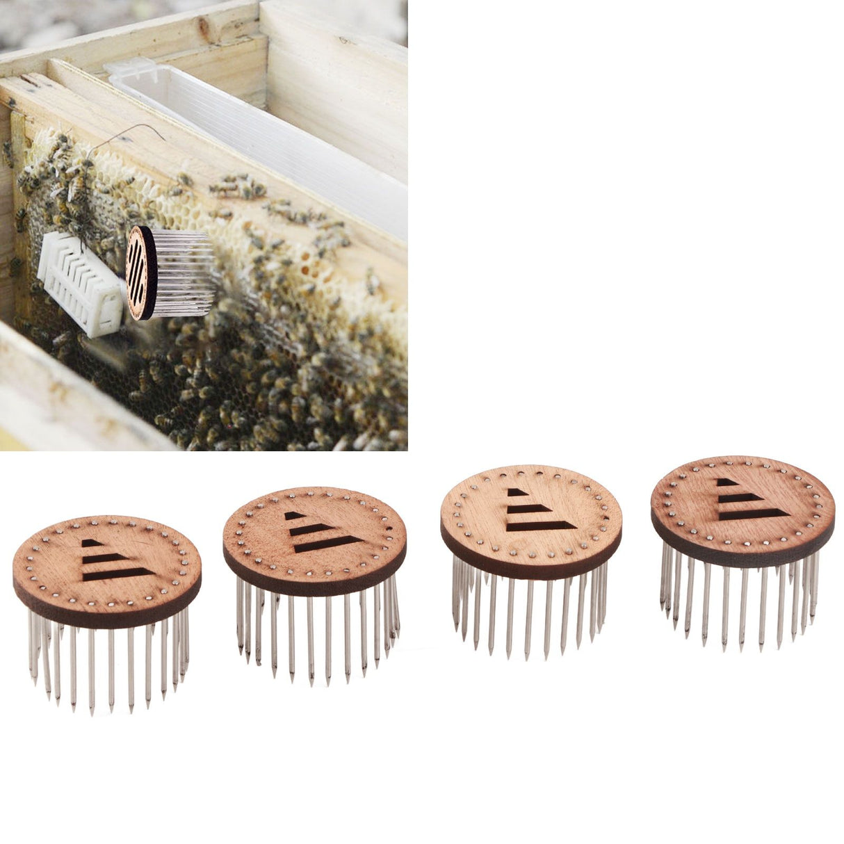 4Pcs Needle Type Queen Bee Cage Bee Catcher Equipment Beekeeping Apiculture Accessory Tools