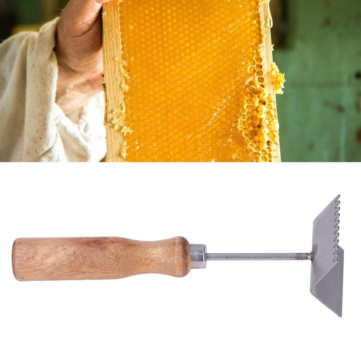 Bee Frame Shovel Stainless Steel Wooden Handle Professional Beehive Cleaner for Beekeeper