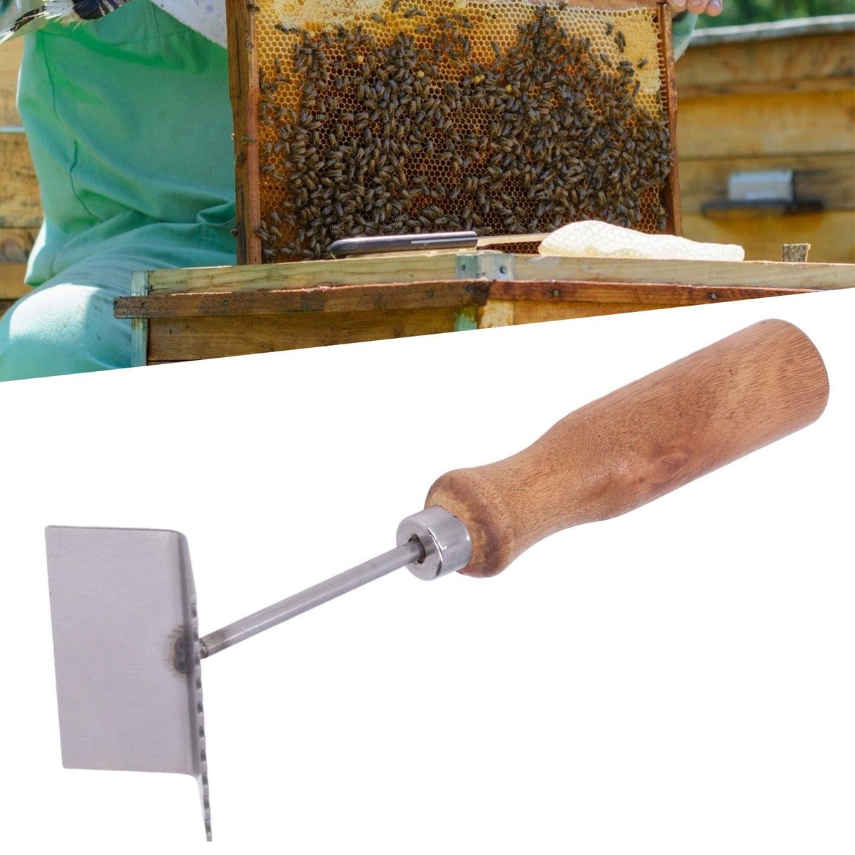 Bee Frame Shovel Stainless Steel Wooden Handle Professional Beehive Cleaner for Beekeeper