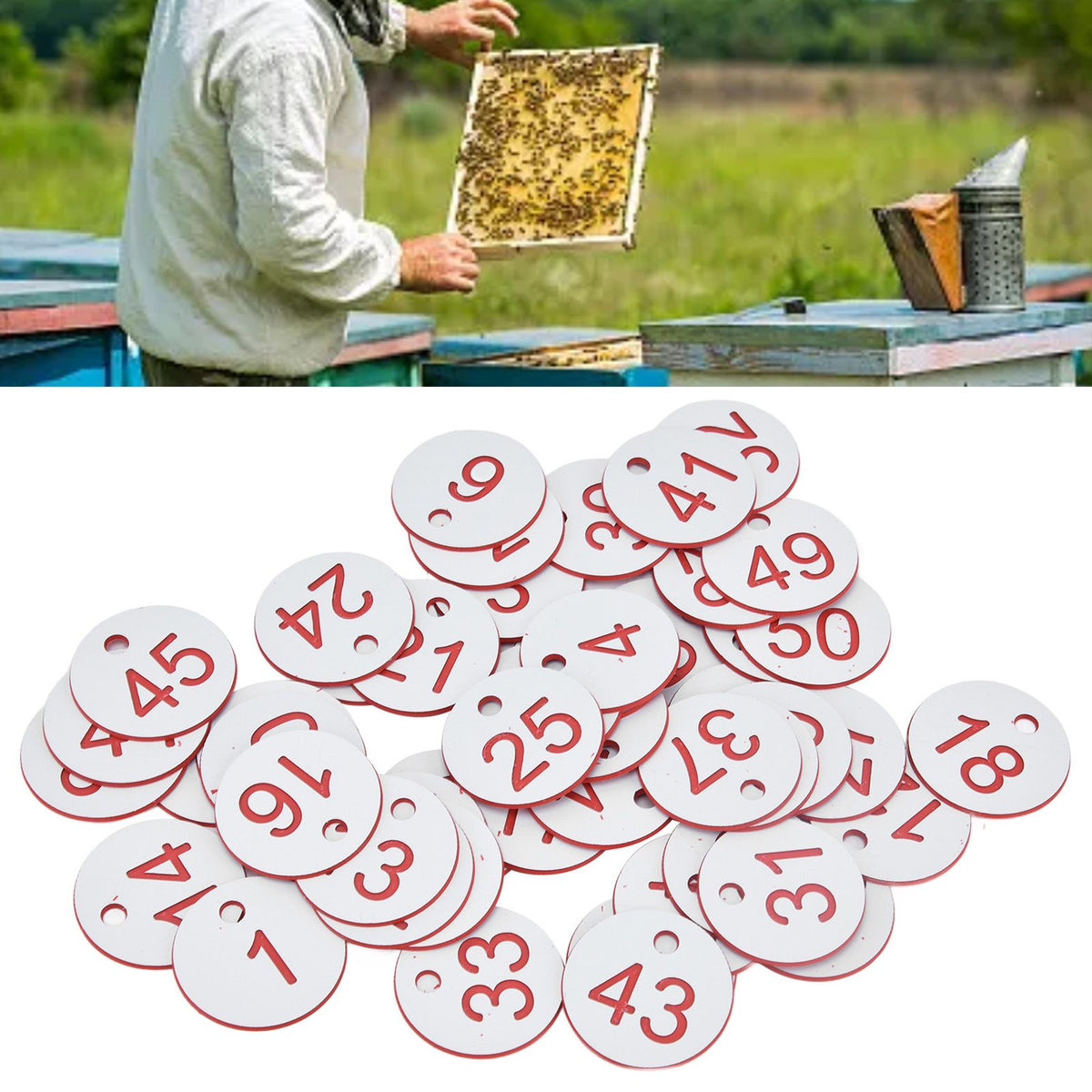50Pcs Beehive Tag ABS Round Numbered Sign Labels with Hole Livestock Beekeeping SuppliesWhite 1-50