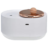 2 in 1 Rotating Planet Humidifier USB Charging Cordless Mute Spray Humidification for Home 1200MAHWhite