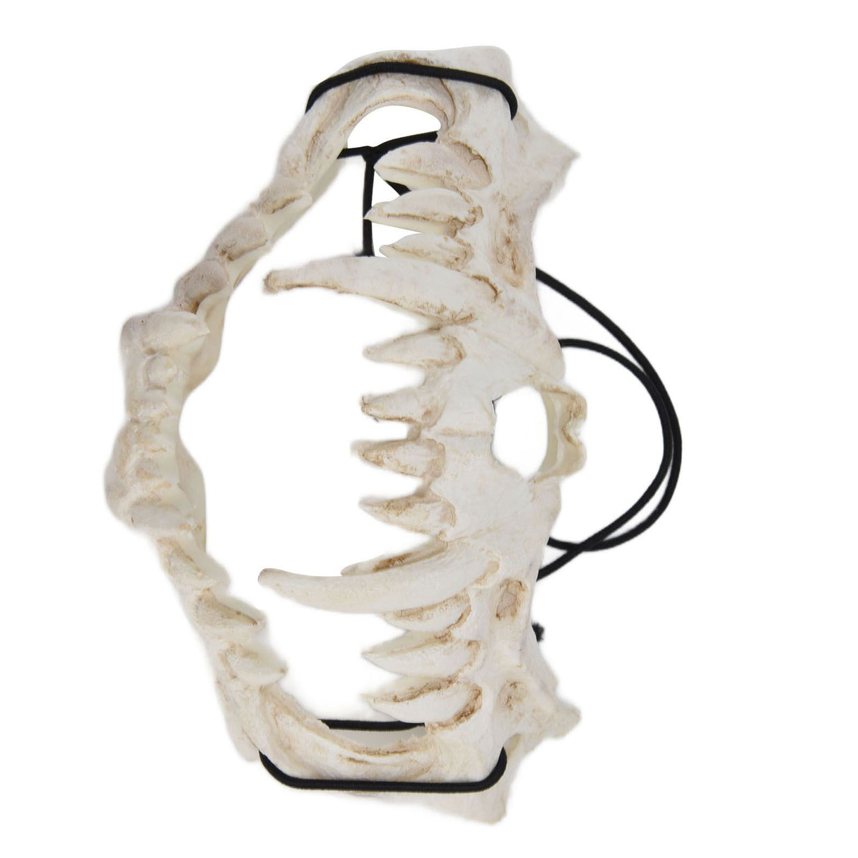 Skull Mask Latex Tiger Tooth Type Durable Waterproof Adjustable Scary Mask for Party Festival Theater