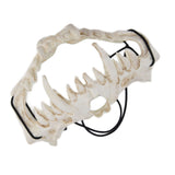 Skull Mask Latex Tiger Tooth Type Durable Waterproof Adjustable Scary Mask for Party Festival Theater