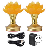 2 Set LED Buddhist Light 3 Color Adjustment Buddha Lamp Plug In Flower Light for Home Buddhist SupplyAU Plug 100-240V