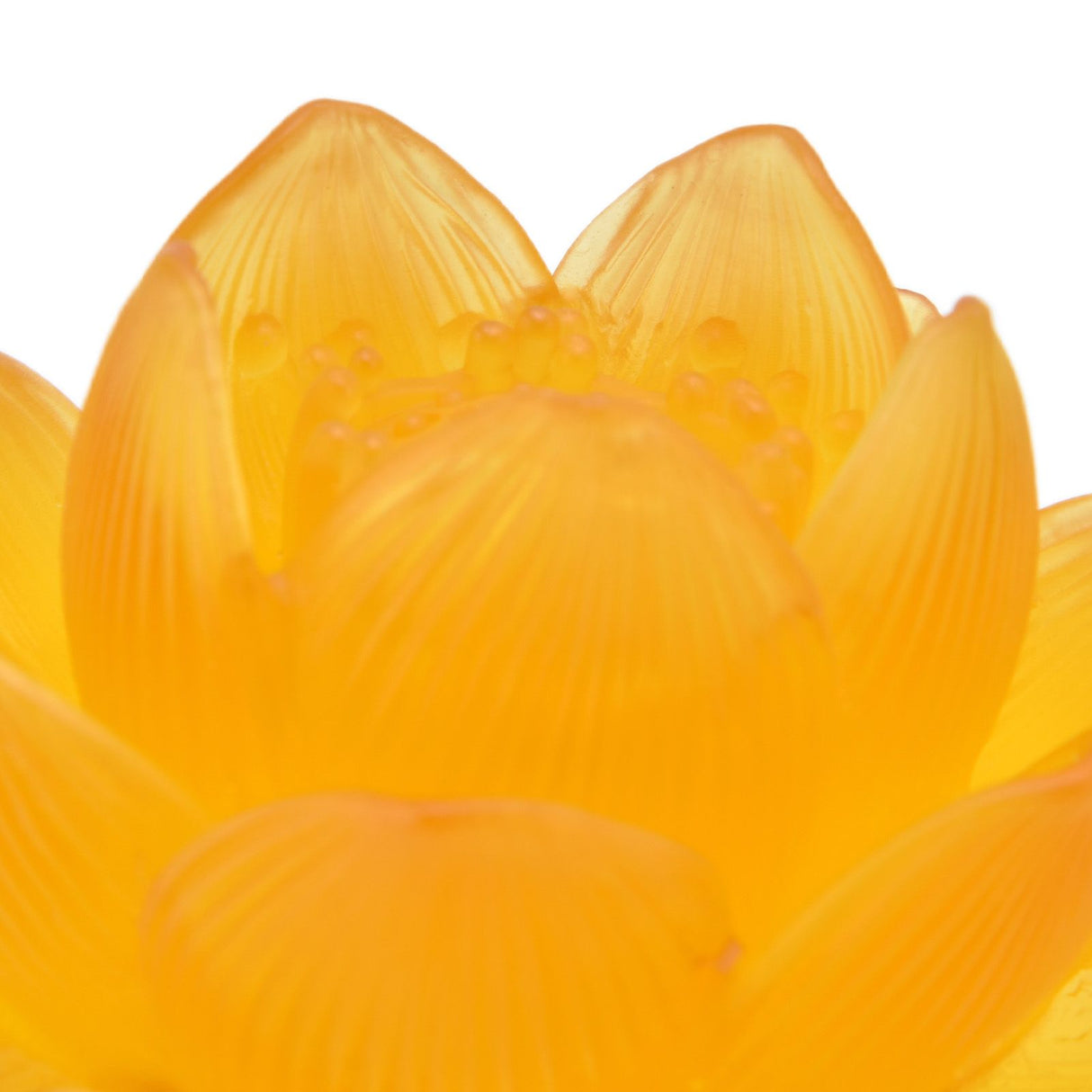 2 Set LED Buddhist Light 3 Color Adjustment Buddha Lamp Plug In Flower Light for Home Buddhist SupplyAU Plug 100-240V