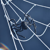 Spiders Halloween Decor Terrible Reusable Black Giant Spider Halloween Decoration for Indoor Outdoor90cm