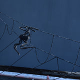Spiders Halloween Decor Terrible Reusable Black Giant Spider Halloween Decoration for Indoor Outdoor90cm