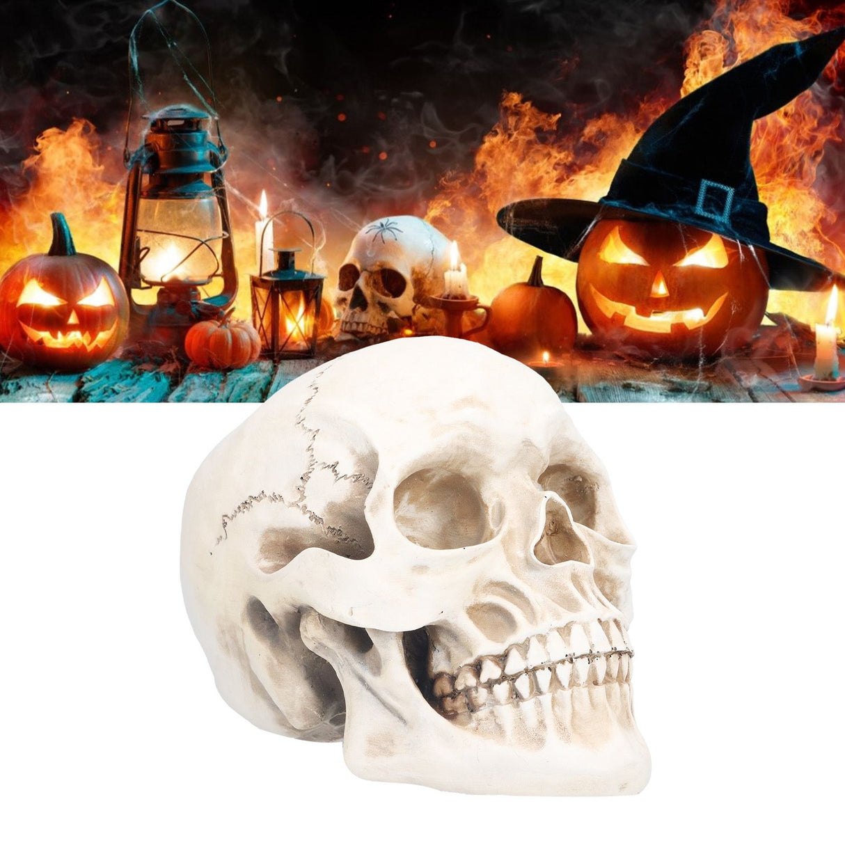 Animal Skull Model Skull Decoration Ornament Resin Craftwork Halloween Props for Home Party Decor
