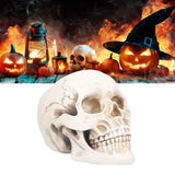 Animal Skull Model Skull Decoration Ornament Resin Craftwork Halloween Props for Home Party Decor