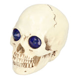 Skull Ornaments Vivid Lightweight Easily Clean Add Horror Ambience Halloween Props for Party Haunted House Decoration