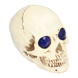 Skull Ornaments Vivid Lightweight Easily Clean Add Horror Ambience Halloween Props for Party Haunted House Decoration - Rear View