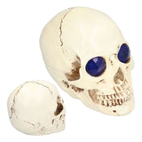 Skull Ornaments Vivid Lightweight Easily Clean Add Horror Ambience Halloween Props for Party Haunted House Decoration