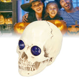 Skull Ornaments Vivid Lightweight Easily Clean Add Horror Ambience Halloween Props for Party Haunted House Decoration - Extra Image