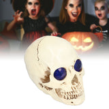 Skull Ornaments Vivid Lightweight Easily Clean Add Horror Ambience Halloween Props for Party Haunted House Decoration