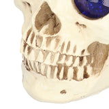 Skull Ornaments Vivid Lightweight Easily Clean Add Horror Ambience Halloween Props for Party Haunted House Decoration