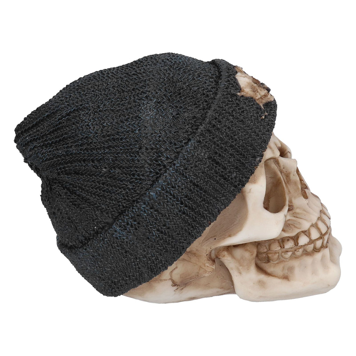 Resin Skull Durable Lightweight Halloween Decoration Resin Skull Ornament for Holiday Party
