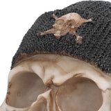 Resin Skull Durable Lightweight Halloween Decoration Resin Skull Ornament for Holiday Party - Extra Image