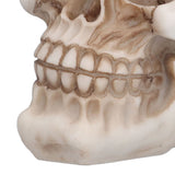 Resin Skull Durable Lightweight Halloween Decoration Resin Skull Ornament for Holiday Party