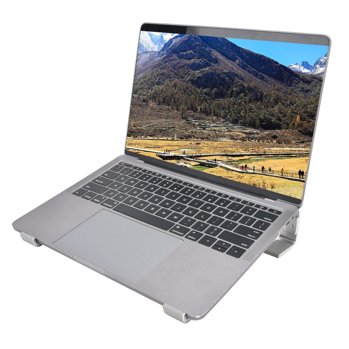 Universal Laptop Stand Heat Dissipation Aluminum Alloy Ergonomic Design Computer Riser Shelf Silver