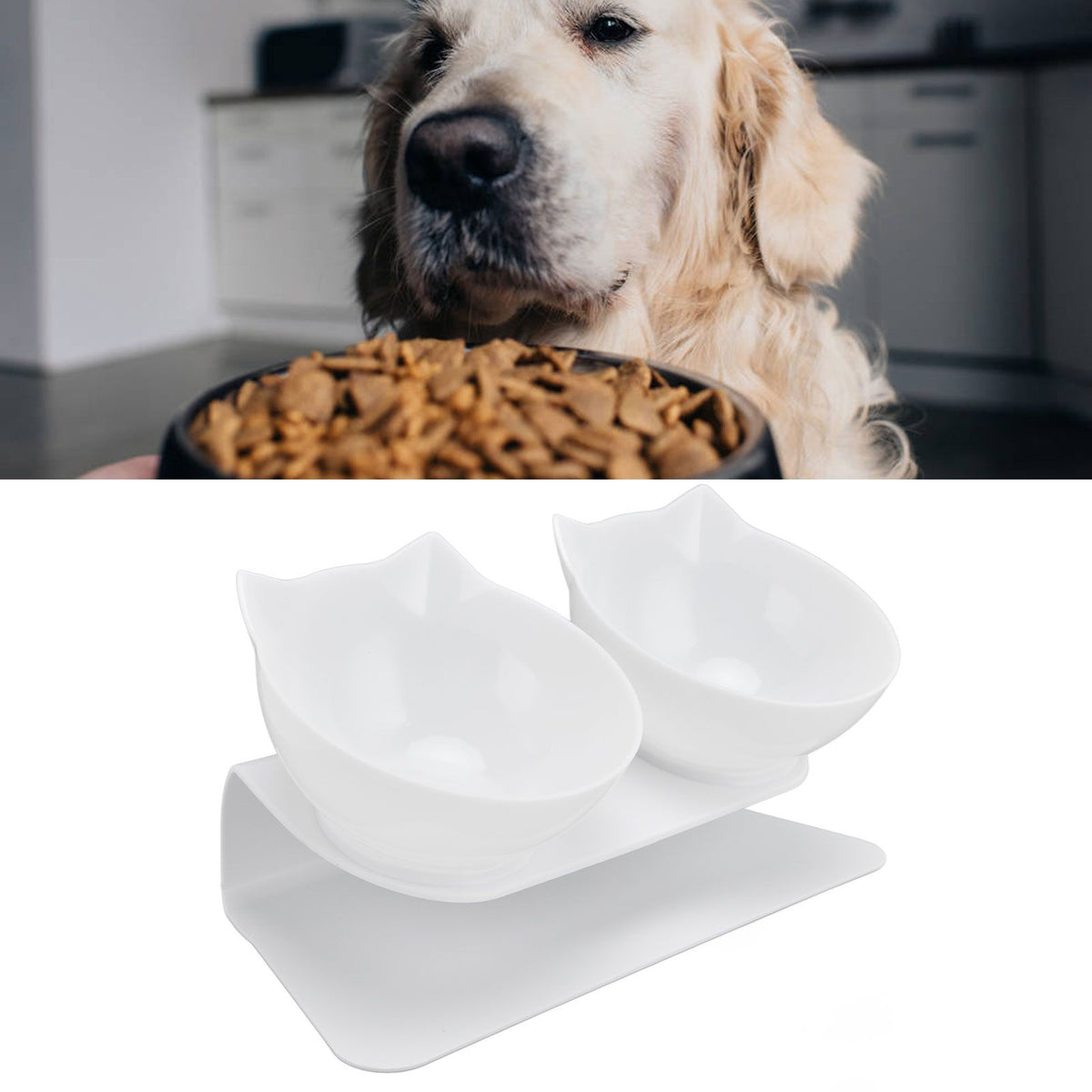 15° Inclined Cat Double Bowl Neck Guard Pet Feeding Bowl for Home Pet Shop Living Room(White Base White Bowl )