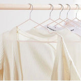10PCS 40cm Clothing Hanger Coat Hanger Clothes Drying Rack Stainless Steel Laundry RackPink - 45-Degree Angle