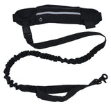 Sports Belt Bag Leash Set Reflective Elastic Explosion Proof Dog Running Traction Rope for Walking RunningBlack - Close-Up Angle