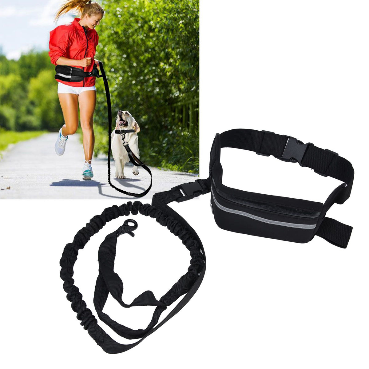Sports Belt Bag Leash Set Reflective Elastic Explosion Proof Dog Running Traction Rope for Walking RunningBlack