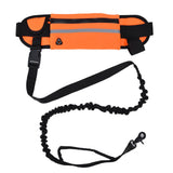 Hands Free Dog Leash Detachable Zipper Bag Reflective Strip Design Hands Free Flexible Waist Dog Leash for WalkingOrange