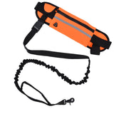 Hands Free Dog Leash Detachable Zipper Bag Reflective Strip Design Hands Free Flexible Waist Dog Leash for WalkingOrange