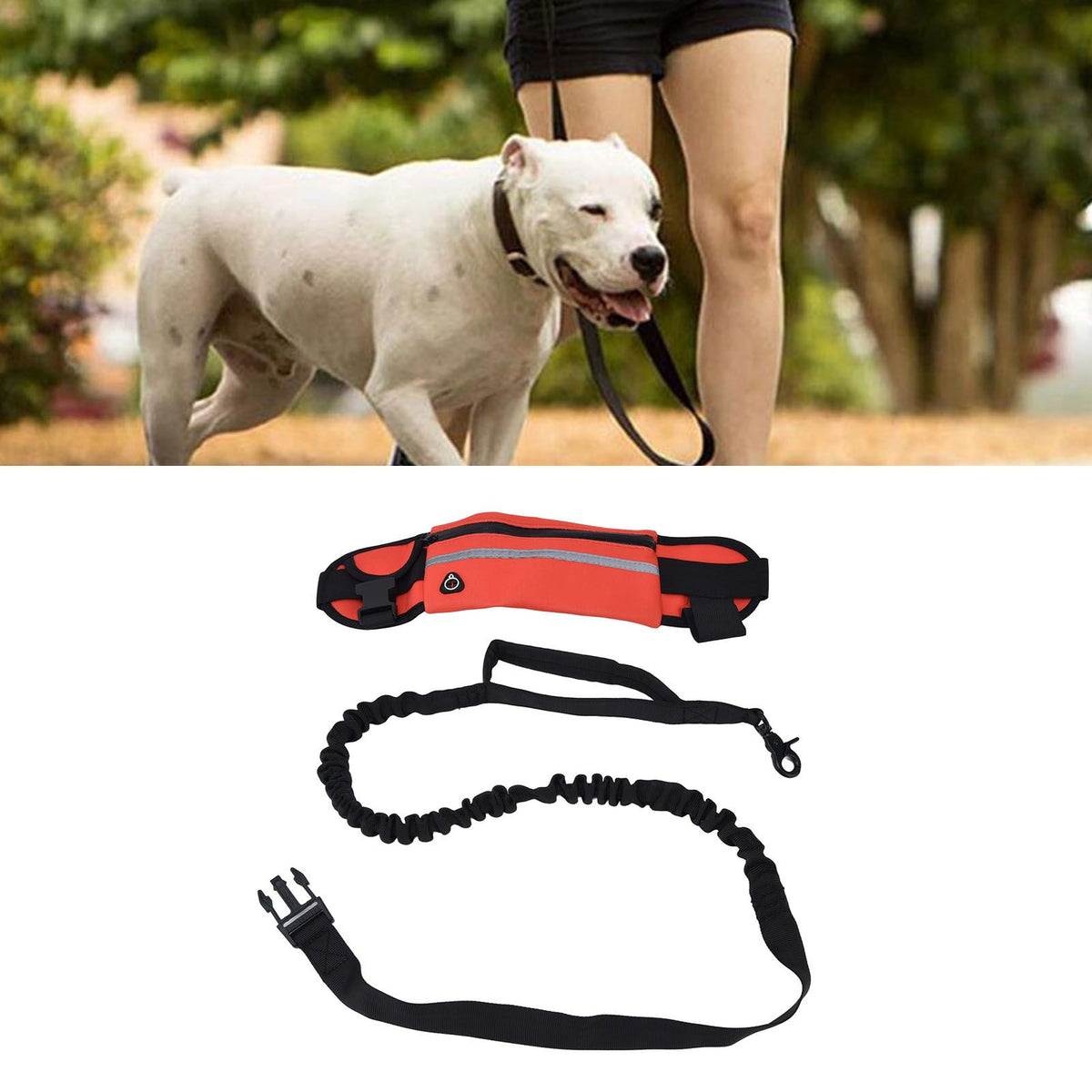 Hands Free Dog Leash Detachable Zipper Bag Reflective Strip Design Hands Free Flexible Waist Dog Leash for WalkingRed