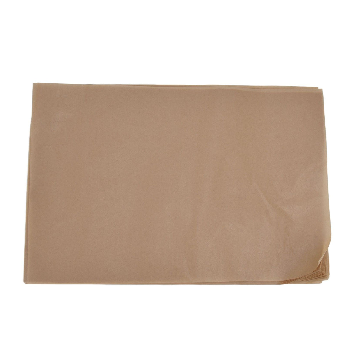 Baking Silicone Oil Paper Barbecue NonStick Baking Paper for Cooking Frying Grilling Rack(Natural Color 20x30cm )