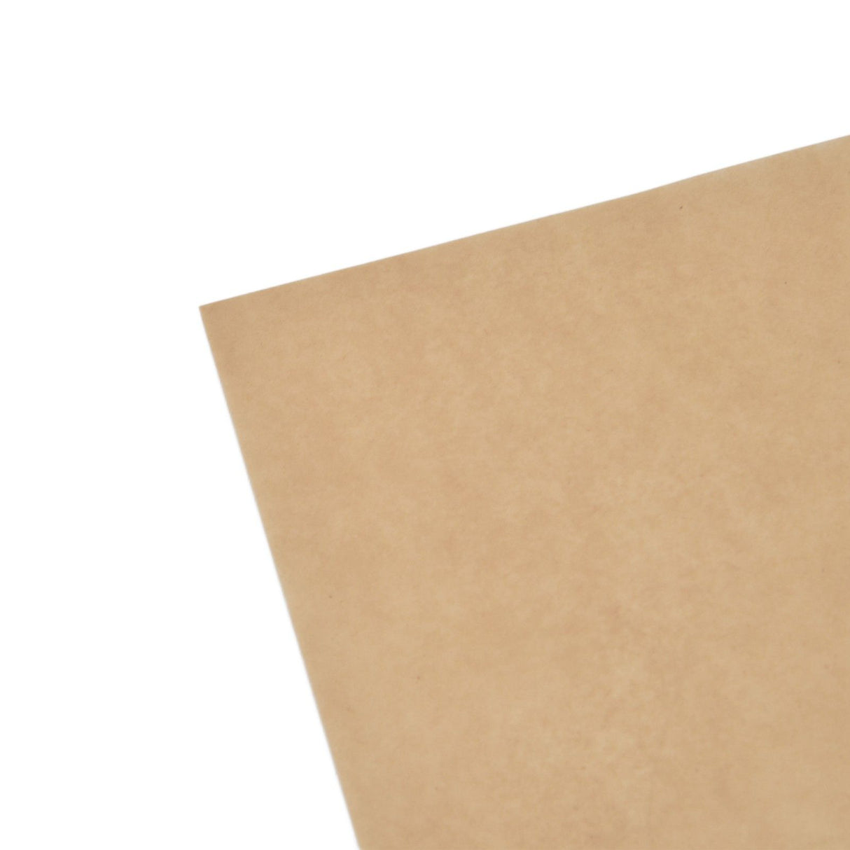 Baking Silicone Oil Paper Barbecue NonStick Baking Paper for Cooking Frying Grilling Rack(Natural Color 20x30cm )
