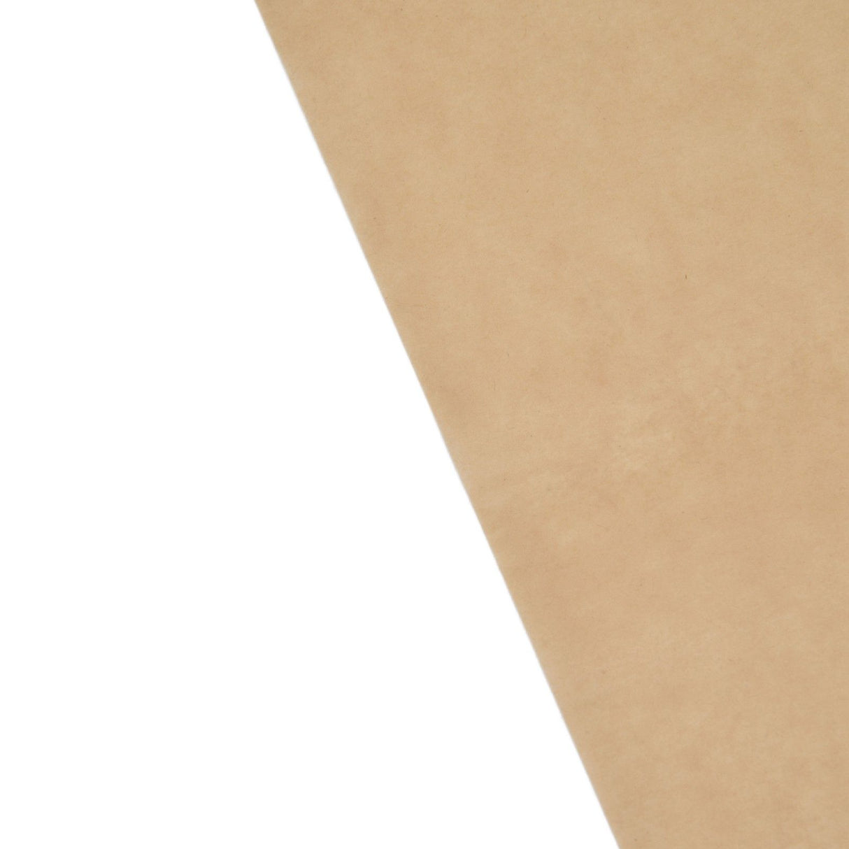 Baking Silicone Oil Paper Barbecue NonStick Baking Paper for Cooking Frying Grilling Rack(Natural Color 20x30cm )