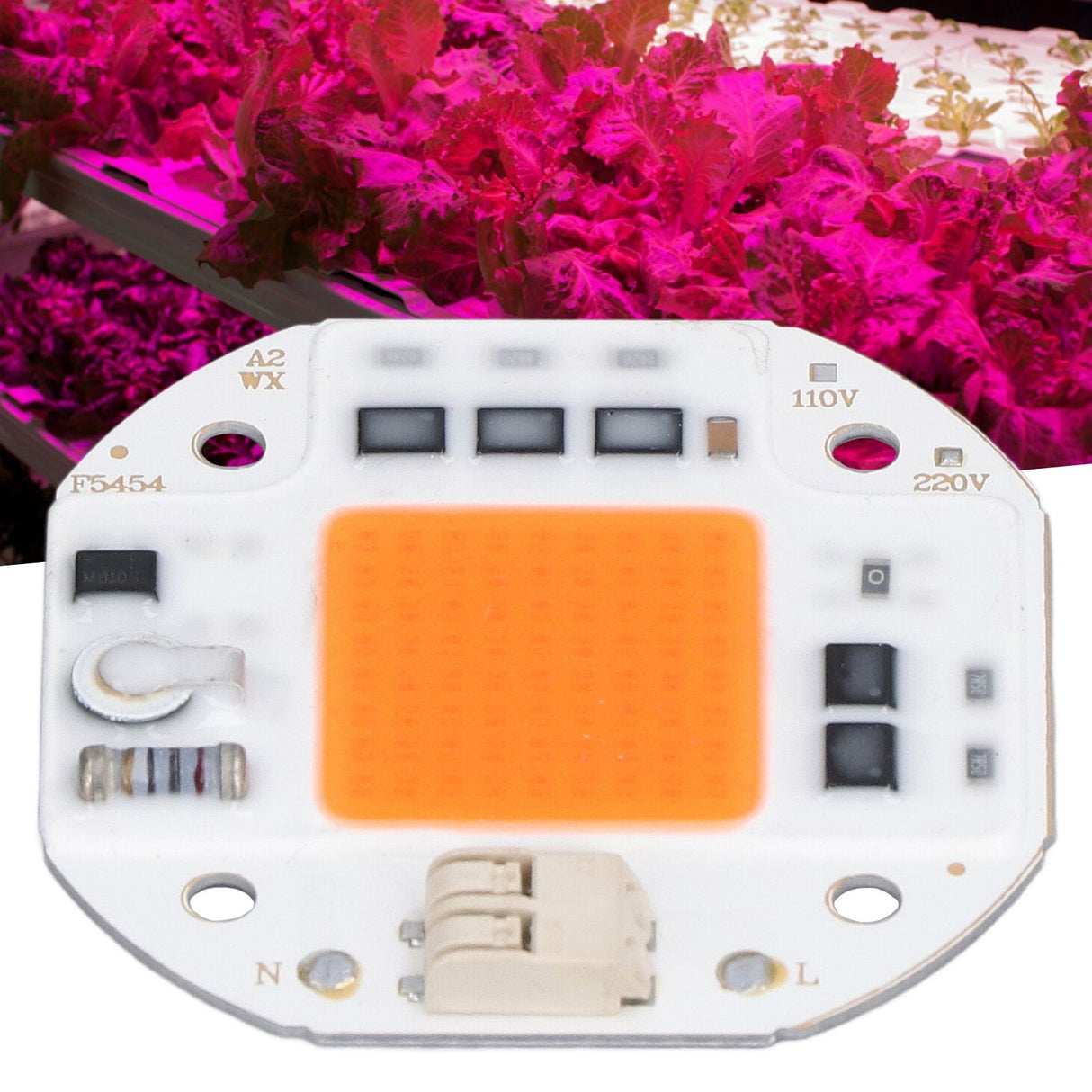 High Power LED Chip Plant Grow Light 380‑800NM COB Lamp Beads Drive Free for DIY Hydroponic Growing Light 220V100W