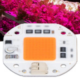 High Power LED Chip Plant Grow Light 380‑800NM COB Lamp Beads Drive Free for DIY Hydroponic Growing Light 220V100W - Extra Image
