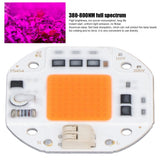 High Power LED Chip Plant Grow Light 380‑800NM COB Lamp Beads Drive Free for DIY Hydroponic Growing Light 220V100W - Extra Image