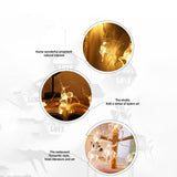 Christmas Indoor Reindeer Lights Decorations 10 LED Warm White String Lights USB Battery Powered Fairy Lighting Xmas Gifts - Rear View