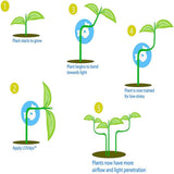 60PCS Plant Bender 360 Degree Adjustable Plant Branch Benders Plant Trainer Clips for Fruit Trees and Flowers Gardening Supplies