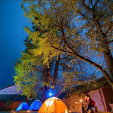2 Pack LED Light for Camping 5W USB Children Bed Lamp Portable LED Bulb Outdoor Emergency Light - 45-Degree Angle