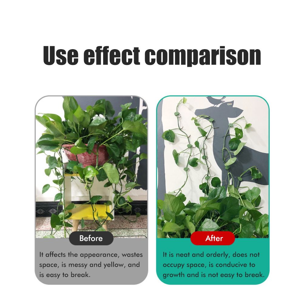 Pack of 50 Self Adhesive Plant Holders Plant Connector Clip Climbing Plants Fixing Wall Plant Clips for Supports Planting