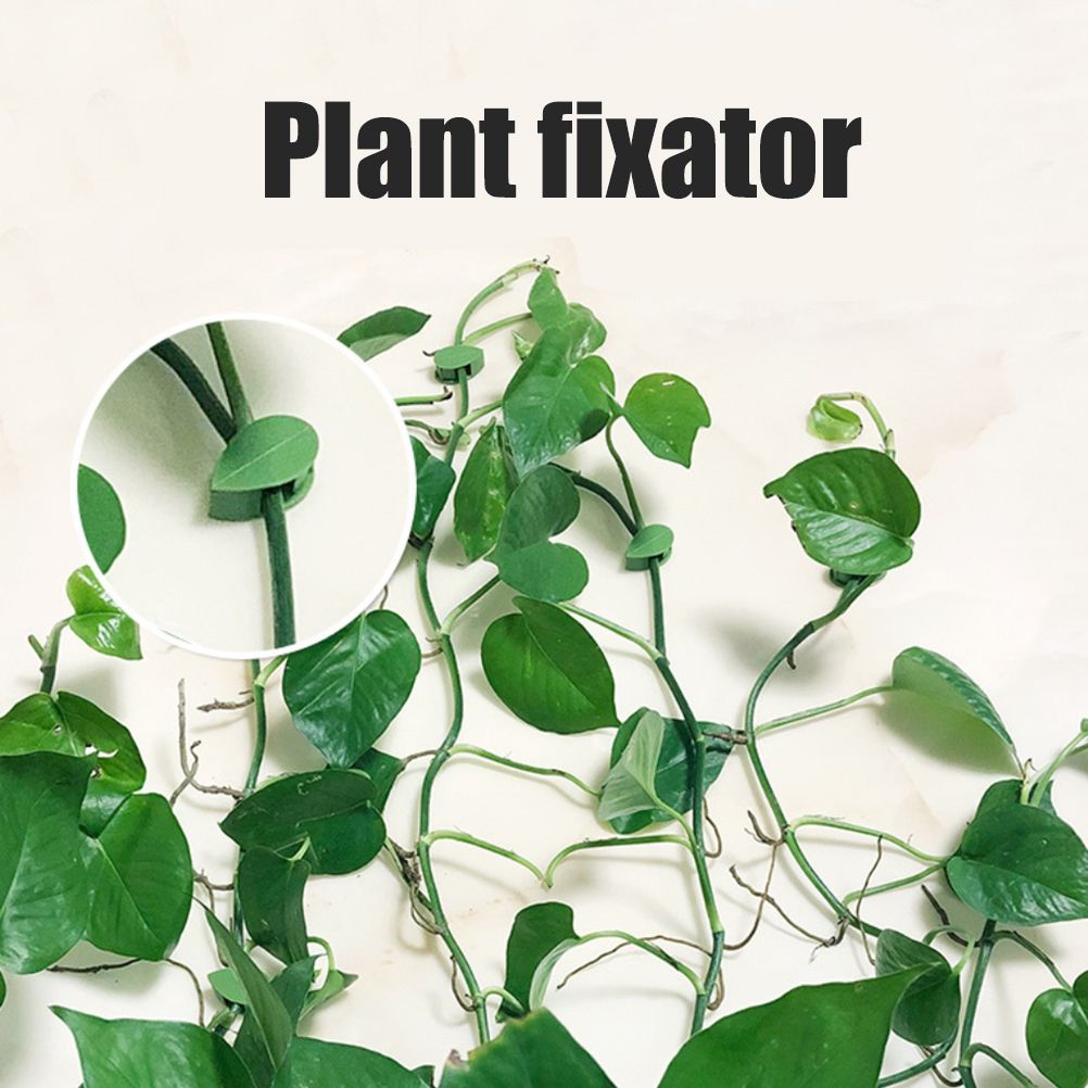 Pack of 50 Self Adhesive Plant Holders Plant Connector Clip Climbing Plants Fixing Wall Plant Clips for Supports Planting