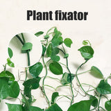 Pack of 50 Self Adhesive Plant Holders Plant Connector Clip Climbing Plants Fixing Wall Plant Clips for Supports Planting