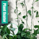 Pack of 50 Self Adhesive Plant Holders Plant Connector Clip Climbing Plants Fixing Wall Plant Clips for Supports Planting - Extra Image