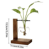Transparent Vase Desktop Wooden Stand Glass Clear Plant Vase for Home Table Desk Interior Decoration