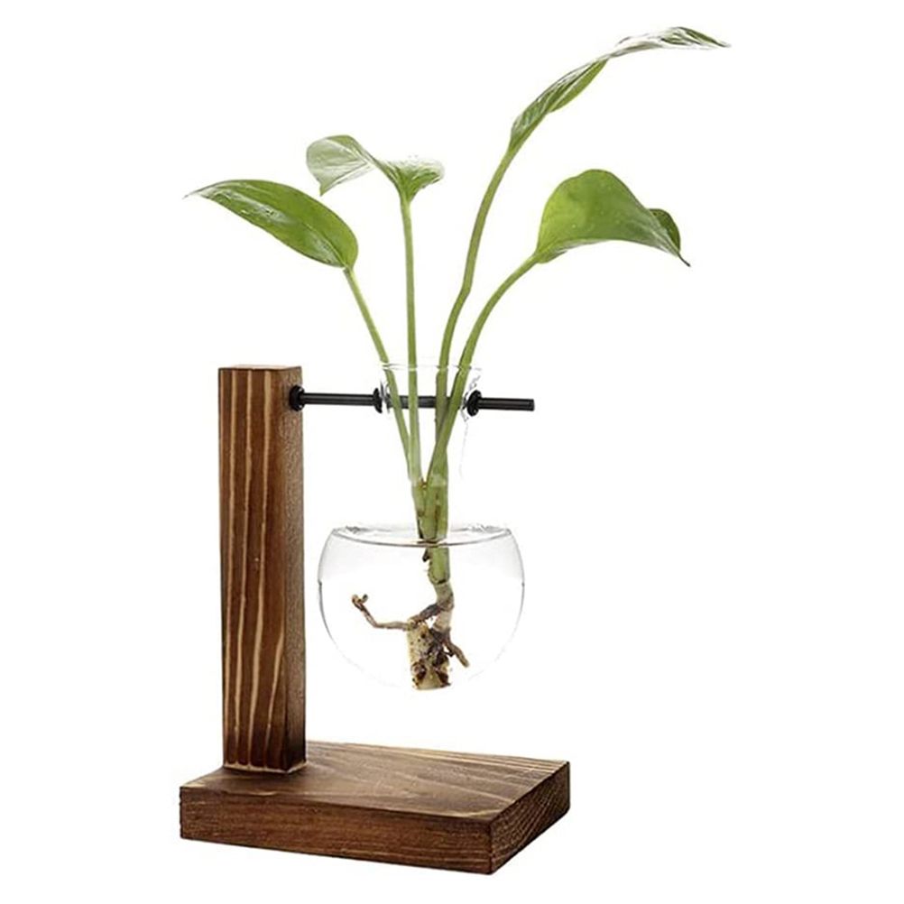 Transparent Vase Desktop Wooden Stand Glass Clear Plant Vase for Home Table Desk Interior Decoration
