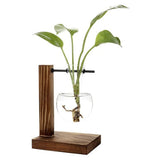 Transparent Vase Desktop Wooden Stand Glass Clear Plant Vase for Home Table Desk Interior Decoration