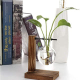 Transparent Vase Desktop Wooden Stand Glass Clear Plant Vase for Home Table Desk Interior Decoration - Close-Up Angle