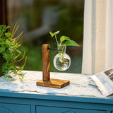 Transparent Vase Desktop Wooden Stand Glass Clear Plant Vase for Home Table Desk Interior Decoration