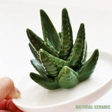 Ceramic Ring Holder Aloe Ring Dish Jewelry Holder Rings Bracelets Earrings Green Succulent Trinket Tray Gift for Women Girls - Side View